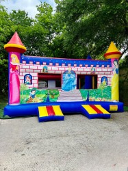 01A45D82 F248 40B8 9AB9 B26BD18F4932 1723237710 Big Princess Bounce House