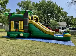 IMG 4066 1758137739 Tropical Wet/Dry Combo