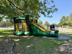 IMG 5307 1758137741 Tropical Wet/Dry Combo